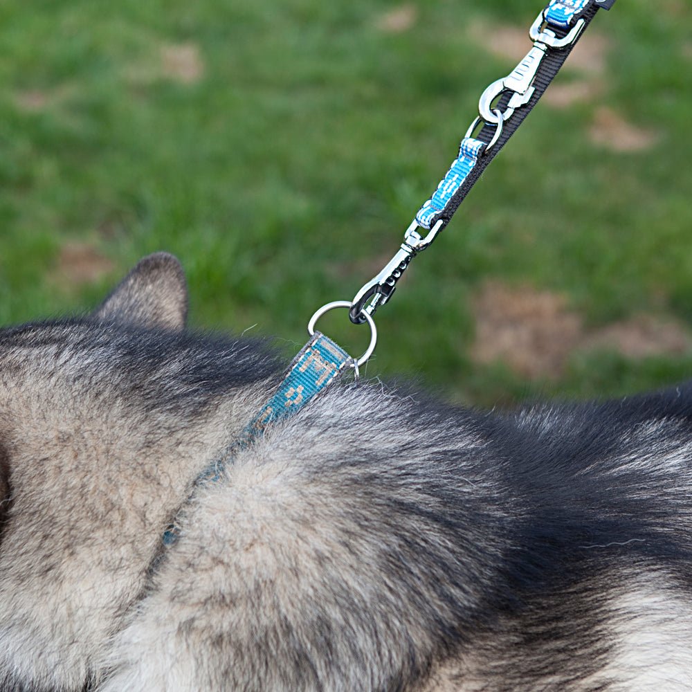 Multi Clip Dog Lead (ManMat) - SnowPaw Store - ManMat - Dog Collars, Leads, Belts